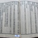 탄세 이미지