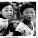 보릿고개 - 경주시 | 보릿고개