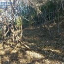 대곡3길 이미지