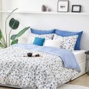 풍성이불집 이미지