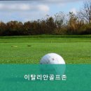 이탈리안골프존 이미지