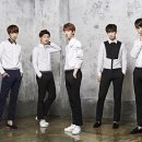 금치농장 이미지