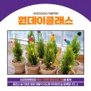 보금한방병원 이미지