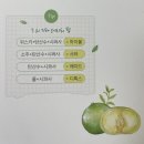 한스빌 | 오키나와현 서울사무소에서 주최한 시콰사 쿠킹클래스 후기