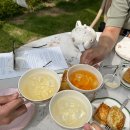 그린카펫 이미지