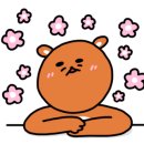 오아시스캐럿 이미지