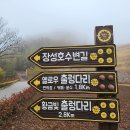 장성호수변길.성미산 후기 23.2.11