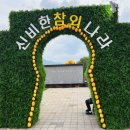 경북 성주 가볼만한곳 2025 성주참외&amp;생명문화축제 방문후기