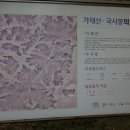 가제산 정상 이미지