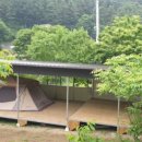 산속애견 이미지