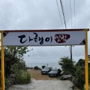 남해-남해-남면-비-1 | 남해 다랭이마을 다랭이맛집 오션뷰에서 먹는 파전과 칼국수