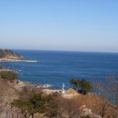 다농약국 이미지