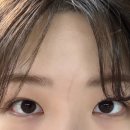 모니드 이미지