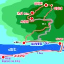 섬진강대나무숲길 이미지