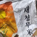 [ 새청무 쌀 ] 20kg 가격 맛 도정일자 후기