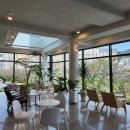 설 카페 이미지