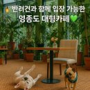 인천농장 | [하나개팜 카페] - 애견동반 식물원 느낌의 카페, 인천 영종도 감성 카페농장 (내돈내산 후기)