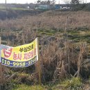 계양구 의회 앞 이미지