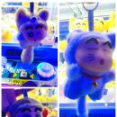 엑스와이제트