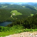 독일의 검은 숲(Black Forest, 흑림) 이미지