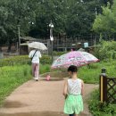 다 함께 전래놀이 | 북서울꿈의숲 전통전래놀이 서울특별시 공공서비스예약 편편집 수유점