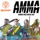 중세 기사들의 종합격투기 이미지