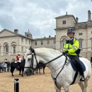 교대식 시간 및 동선 추천 ! (Horse Guards Parade - 세인트 제임스 공원 - The Mall - 버킹엄 궁전)