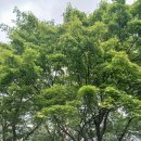 달빛품은바다 이미지