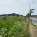 교하체육공원 이미지