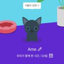 한국패시피카 - 100109 | [고양이일기]#31.아메일기ʕ”̮ॽु - 아기고양이.고양이스카프.고양이산책.종이캣타워.미니캣타워