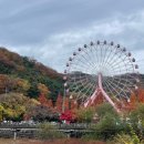 금오카 네이버블로그