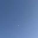 두강맥주 네이버블로그