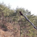 미골농장 이미지