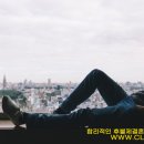 더사랑결혼정보회사 이미지