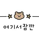 펫그램경주