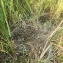 억새목욕탕 이미지