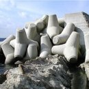 방파제낚시 이미지