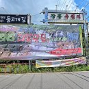신털뫼1 네이버블로그