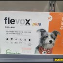 이로운약국 이미지