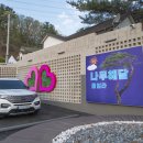 나무해담 이미지