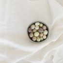 대한메추리 이미지