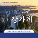 드림피아여행사