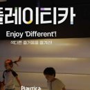 플레이티카 이미지