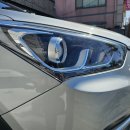 키다리광택 이미지