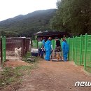 내천농장 뉴스1