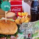 백호2길 이미지