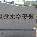 일산꽃박람회 이미지