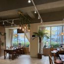 국수나무 시지점 | 대구 신매동 라이첸 다녀옴! 하노이 정통 쌀국수랑 퍼싸오, 똠찌엔 솔직후기 😋