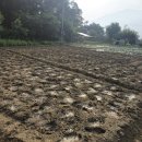 성중농장 이미지