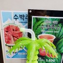 정글주스 이미지